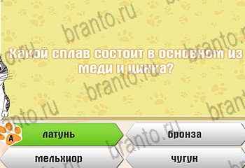 игра Самый умный котёнок из одноклассников подсказки Уровень 404