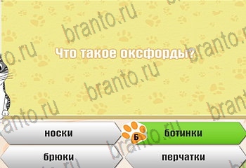 Самый умный котёнок Одноклассники решения на игру Уровень 408