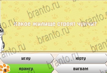 Самый умный котёнок все отгадки Одноклассники Уровень 409