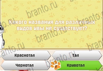 игра Самый умный котёнок все отгадки в Одноклассниках Уровень 410
