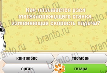 игра Самый умный котёнок разгадки на все задания Уровень 412