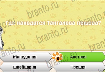 игра Самый умный котёнок все ответы Уровень 414