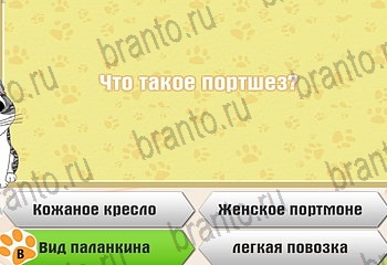 все решения к игре Самый умный котёнок Уровень 417