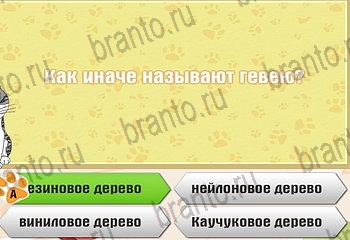 Самый умный котёнок ответы Уровень 421