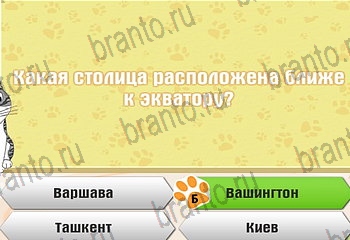 Самый умный котёнок Одноклассники подсказки Уровень 423