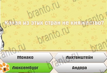 Самый умный котёнок игра из одноклассников помощь Уровень 425
