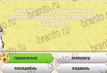 Одноклассники Самый умный котёнок решебник к игре в Одноклассниках Уровень 426