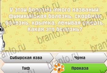Самый умный котёнок в Одноклассниках найти ответы Уровень 428