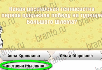 игра Самый умный котёнок в Одноклассниках ответы Уровень 429