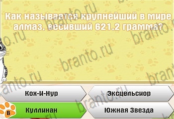 Самый умный котёнок ответы Уровень 430