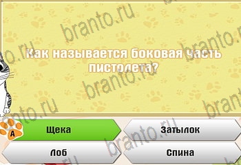 Самый умный котёнок помощь Уровень 435