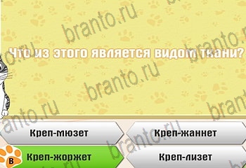 Самый умный котёнок все отгадки Одноклассники Уровень 439