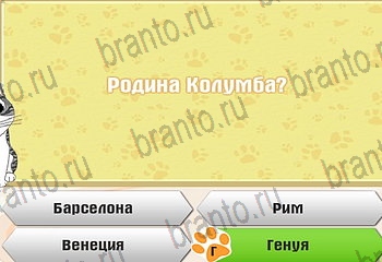 игра Самый умный котёнок все отгадки в Одноклассниках Уровень 440