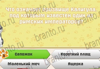игра Самый умный котёнок все ответы Уровень 444