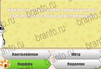 решения на все задания игры Самый умный котёнок Уровень 448