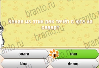 игра Самый умный котёнок ответы уровень 450