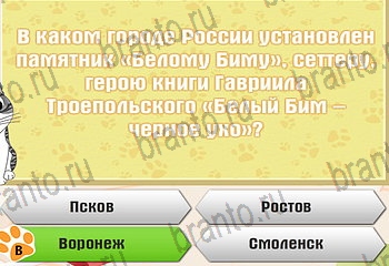 Самый умный котёнок ответы Уровень 451