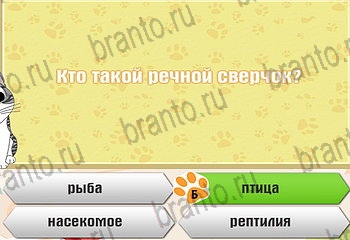 Одноклассники Самый умный котёнок ответ на Уровень 452
