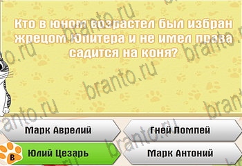 Самый умный котёнок Одноклассники подсказки Уровень 453