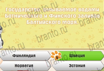 Самый умный котёнок игра из одноклассников помощь Уровень 455