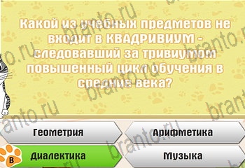 Самый умный котёнок ответы на все задания Уровень 457