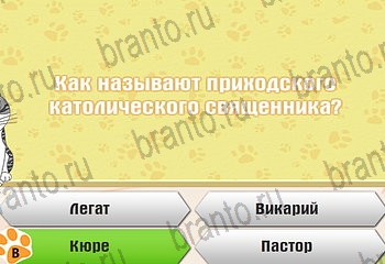 Самый умный котёнок в Одноклассниках найти ответы Уровень 458