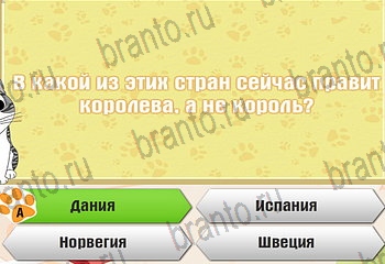 игра Самый умный котёнок все отгадки в Одноклассниках Уровень 470