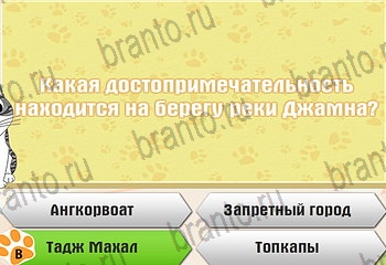 Самый умный котёнок разгадки к игре Уровень 471