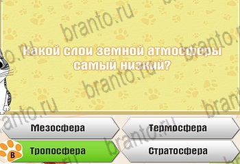 игра Самый умный котёнок разгадки на все задания Уровень 472