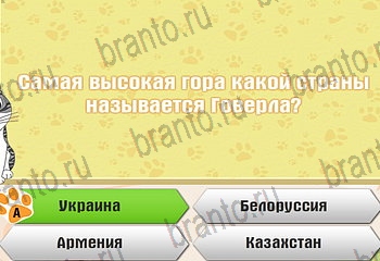 подсказки на все уровни игры Самый умный котёнок Уровень 476