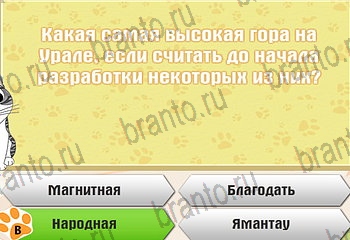 решения на все задания игры Самый умный котёнок Уровень 478