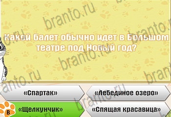 игра Самый умный котёнок ответы уровень 480