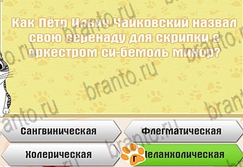 Самый умный котёнок ответы Уровень 481