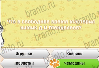 Одноклассники Самый умный котёнок ответ на Уровень 482