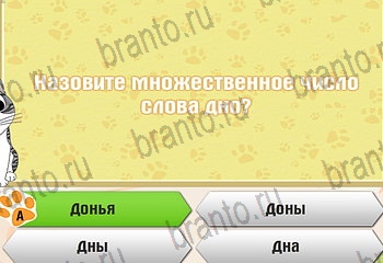 Самый умный котёнок ответы на все задания Уровень 487