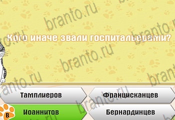 Самый умный котёнок в Одноклассниках найти ответы Уровень 488