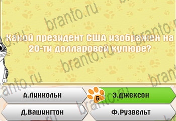 игра Самый умный котёнок в Одноклассниках ответы Уровень 489