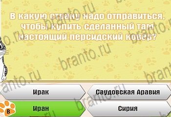 Самый умный котёнок ответы Уровень 490