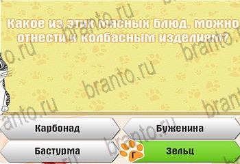из одноклассников Самый умный котёнок ответы на игру Уровень 492
