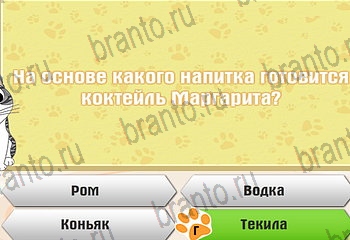 Игра Самый умный котёнок Одноклассники решения Уровень 497