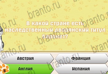 Самый умный котёнок Одноклассники решения на игру Уровень 498