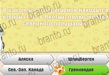 Самый умный котёнок все отгадки Одноклассники Уровень 499