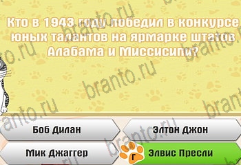 Самый умный котёнок разгадки к игре Уровень 501