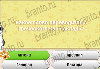 ответы на все уровни игры Самый умный котёнок Уровень 505