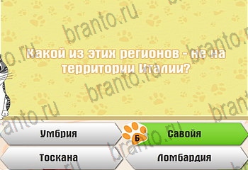 подсказки на все уровни игры Самый умный котёнок Уровень 506