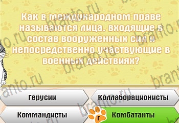 все решения к игре Самый умный котёнок Уровень 507