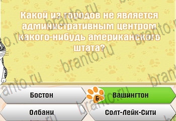 решения на все задания игры Самый умный котёнок Уровень 508