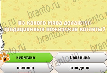 Самый умный котёнок ответы Уровень 511