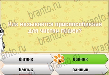 Одноклассники Самый умный котёнок ответ на Уровень 512