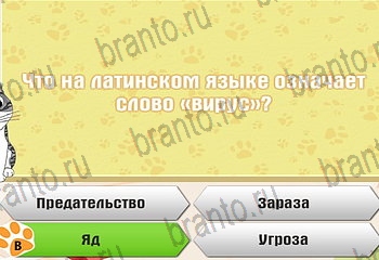 Одноклассники Самый умный котёнок прохождение игры Уровень 514